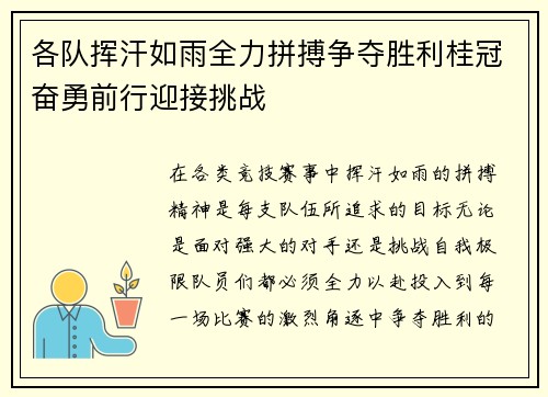 各队挥汗如雨全力拼搏争夺胜利桂冠奋勇前行迎接挑战
