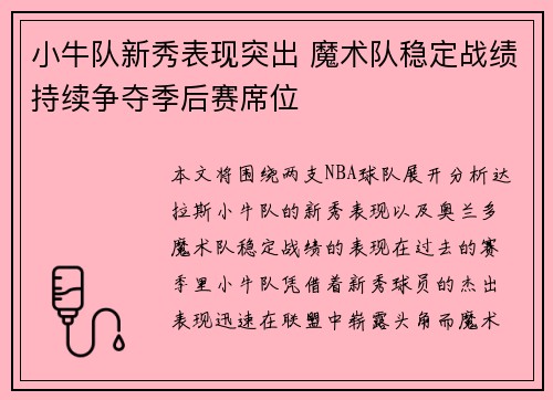 小牛队新秀表现突出 魔术队稳定战绩持续争夺季后赛席位