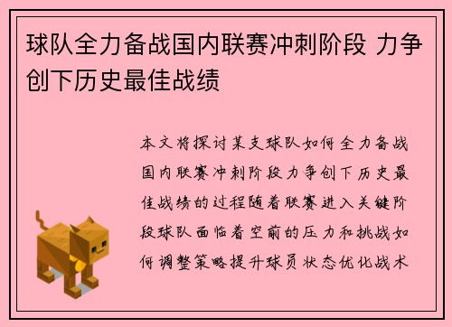 球队全力备战国内联赛冲刺阶段 力争创下历史最佳战绩